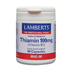 THIAMIN 100mg  (Vitamin B1)                         