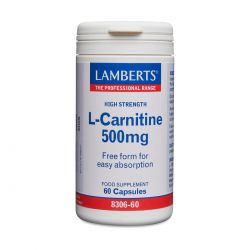 L-CARNITINE 500mg   60's